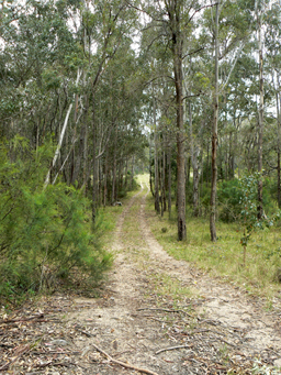  - Canobla Gap Trail